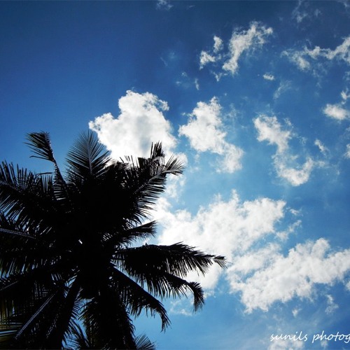 മേഘദൂത്