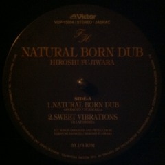 HIROSHI FUJIWARA/NATURAL BORN DUB/Victor