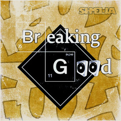 Гуцул Каліпсо - По Дорозі до Общаги (SHMELJA RMX)