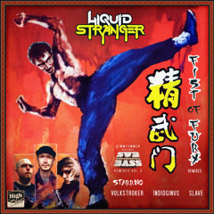 Liquid Stranger - Fist of Fury (Volkstroker Remix)