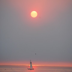 Wasteland in my mind