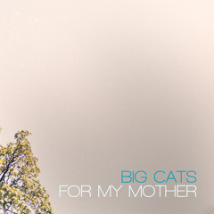 "One" by Big Cats!