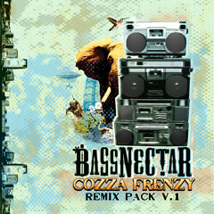 Bassnectar - Teleport Massive (RJD2 Remix)