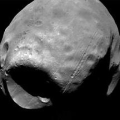 The curious inhabitants of Phobos.
