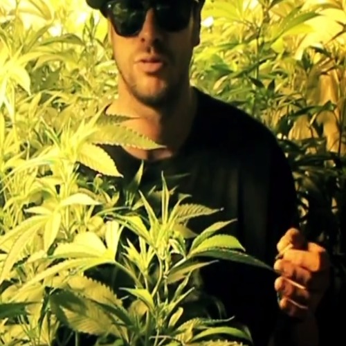 MC ELTIN - PAIS DA GANJA
