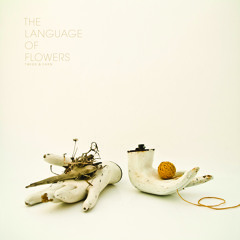 Twigs & Yarn - Marigold Ride