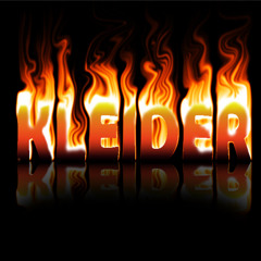 92 otro ocupa mi lugar - bryndisr- [[Dj KleiderCix]]