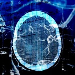 The 2nd Symphony: Unsustainable