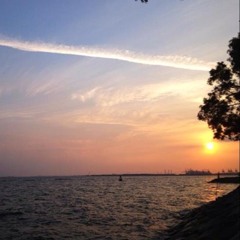 Search - Rozana (Shadyana cover)  at Wood Studio