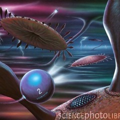 Spliffun - lifeforms detected demo