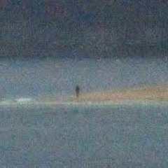 اللغة العربية الفصحى