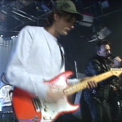 The Amazing Cattle  :  Suzie Jones