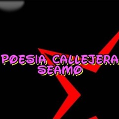 La chica perfecta poesia callejera