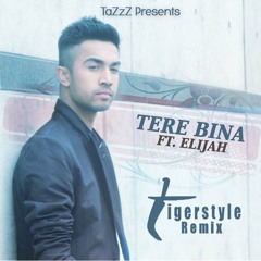 Tere Bina [Tigerstyle Remix] (ft. Elijah)