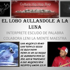 EL LOBO ENAMORADO DE LA LUNA(AULLANDOLE) ESCUDO DE PALABRA