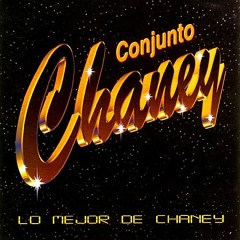01. Vamos A Darnos Tiempo - Conjunto Chaney - Teatro Jorge Isaacs - Colombia 2004