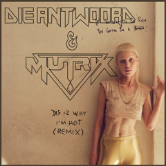 Dis Iz Why I'm Hot by Die Antwoord (Mutrix Remix)