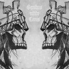 Dj Apiz - The wanted russian rocketeer on top of the world kissing ET