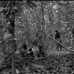 Out in the forest With BayAka hunters, Central African Republic