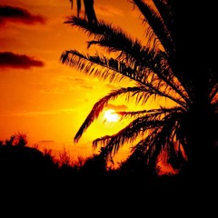 El Marco mixed - Lost in Translation (between Jazzy & House)(CD1)