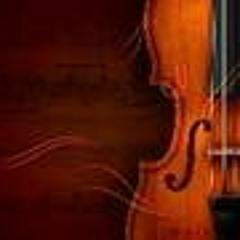 Mozart Violin Concerto No 5 2nd movement