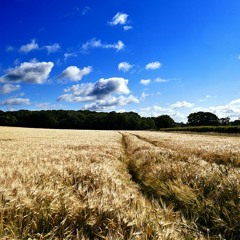 Phear Phace - Leave Me Alone Ft Jake Page (Free Download)