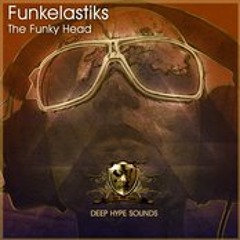 Funk Elastiks - Funky Head (SAMPLE)