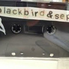 Revenge - Blackbird & Sep