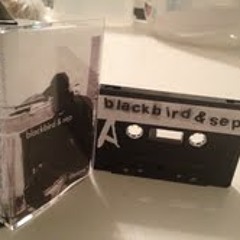 Driftin' - Blackbird and Sep