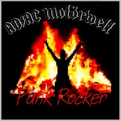 Punk Rocker (from Punkrocker, 2005) (Ramones cover)