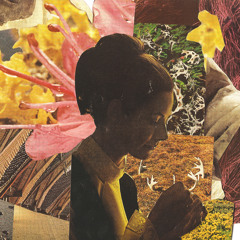 Cuushe - Do You Know the Way to Sleep