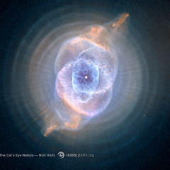 Searching Maggie's Farm