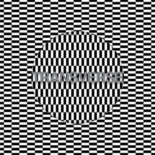 Carter Tutti Void - V2 (Edit)  (Transverse)