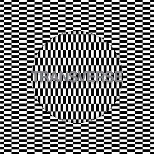 Carter Tutti Void - V2 (Edit)  (Transverse)