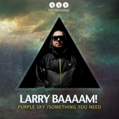 Larry BAAAAM! - Purple Sky (Original Mix) preview