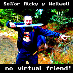 No Virtual Friend - Mr Ricky & Wellwell