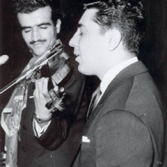 Golpa_ Bazm_Tak Derakht