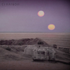 Binary Sunset