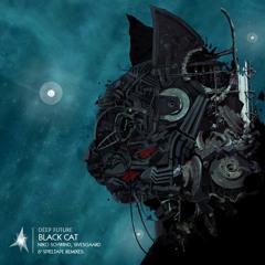 Deep Future - Black Cat // Remixes by Niko Schwind - Sivesgaard - Spieltape