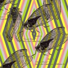 La metamorfosis del Coyuyo