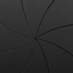 iPhone Camera Shutter