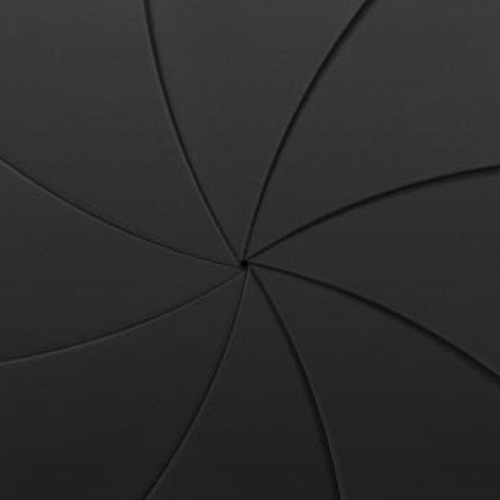 iPhone Camera Shutter