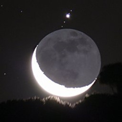 Crepuscular Tendencies