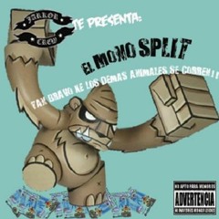 Los Truchas - Gordo Cucaracha