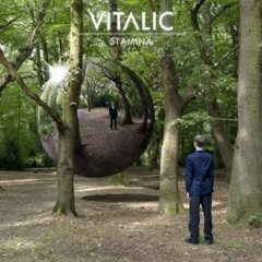 Vitalic - Stamina - Rave Age Album