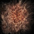 Artwork for Janek Schaefer - Day of the Demons (2012-09-27)