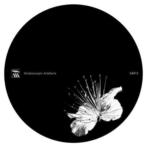 Pfirter / Kangding Ray - 'Caos y Orden Superior' / 'Wars' [SA015]