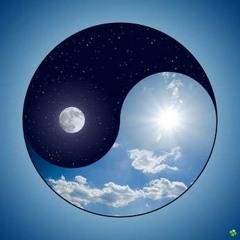 Turtle - Relaxation