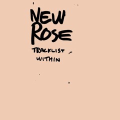 The Sun is a Star by New Rose