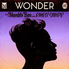 Naughty Boy feat. Emeli Sandé - Wonder (Kidnap Kid Remix)